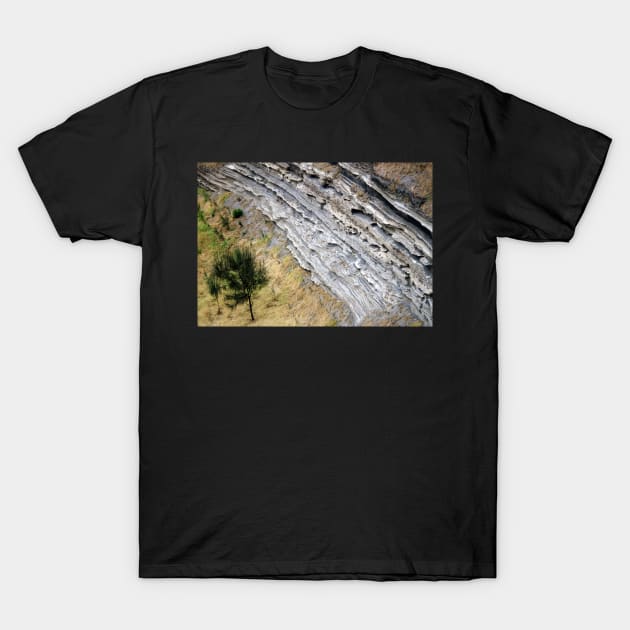 Tree and volcanic strata, Tower Hill T-Shirt by rozmcq
